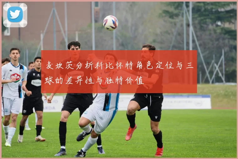麦坎茨分析科比怀特角色定位与三球的差异性与独特价值